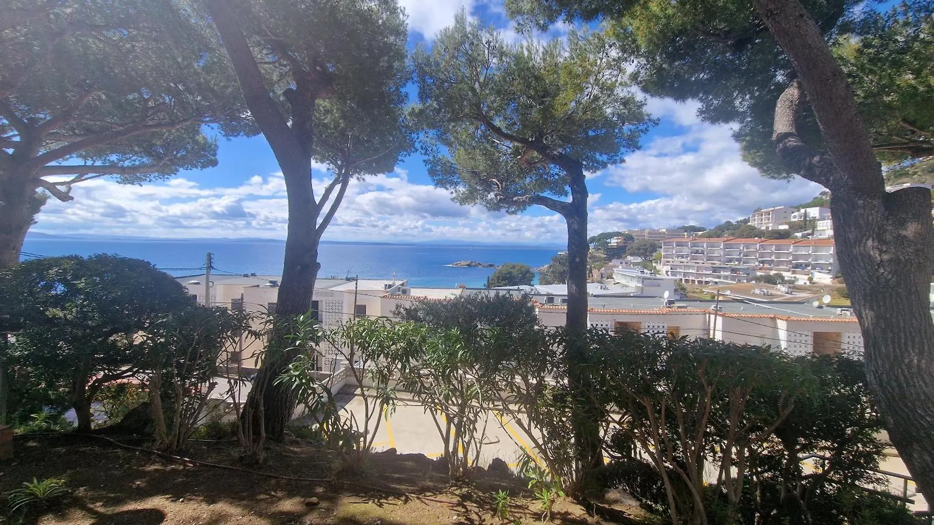 Bernie Apartment Roses Spain
